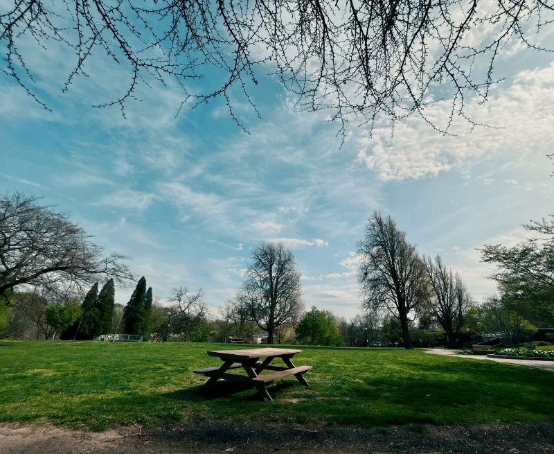 Afternoon.