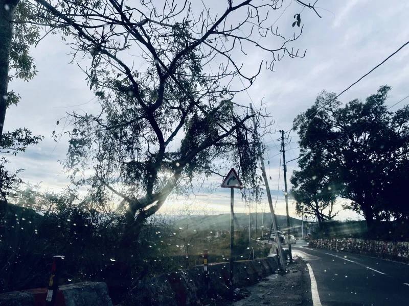 Dehradun. 